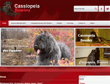 Tablet Screenshot of cassiopeiabouviers.com